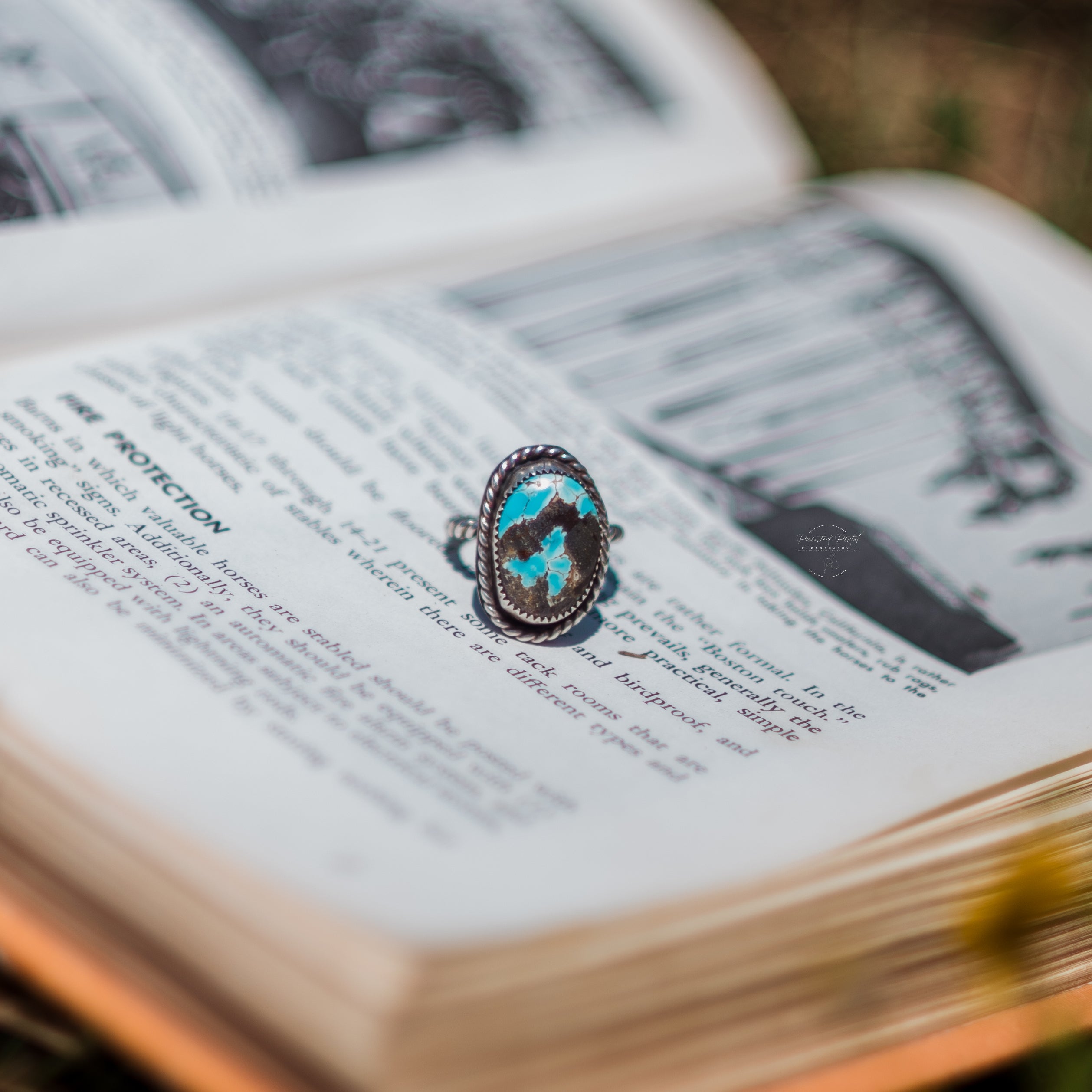 Pre- Order Christmas Customs