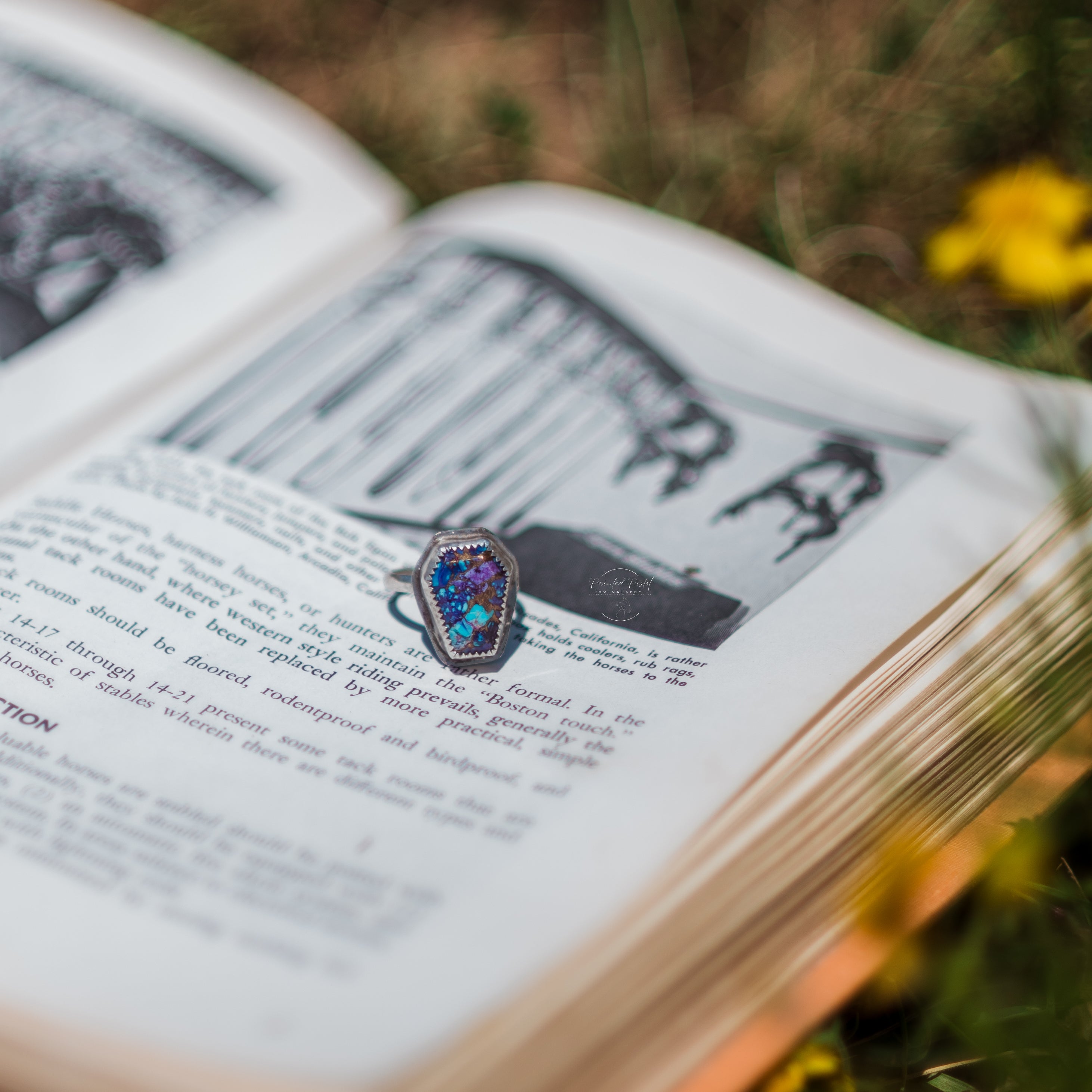 Pre- Order Christmas Customs